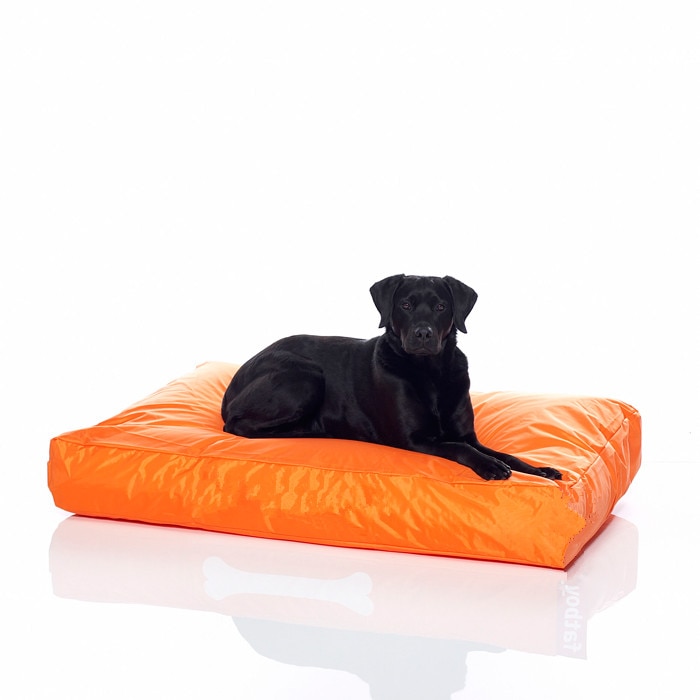 Lit pour chien en mousse à mémoire de forme, Orange, imperméable, fabricant et leader en chine