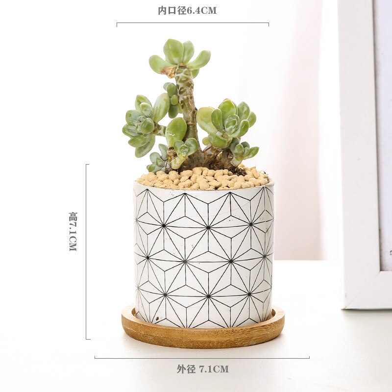 Nordic Geometric Pattern Ceramic Succulent Pot Straight Simple Black and White Home Decoration Succulent Small Potted Plant: C