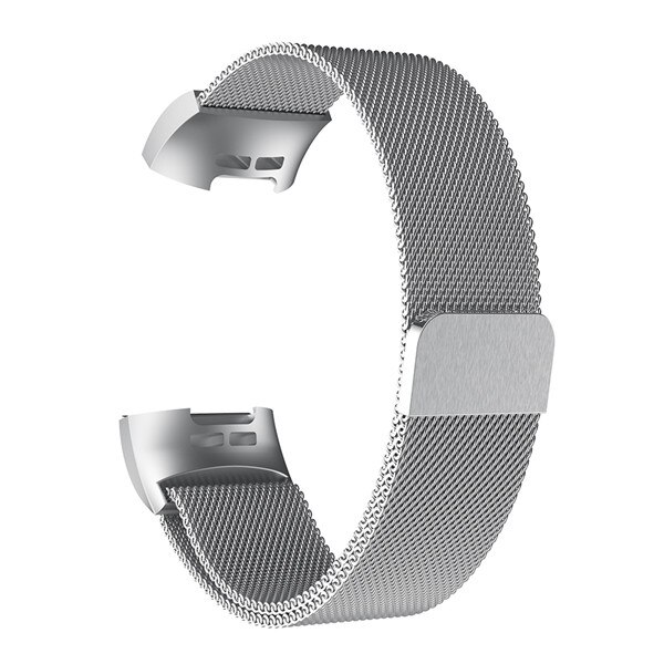 Correa de Metal para Fitbit Charge 3, repuesto de pulsera magnética de acero inoxidable sin tornillos: Silver / L