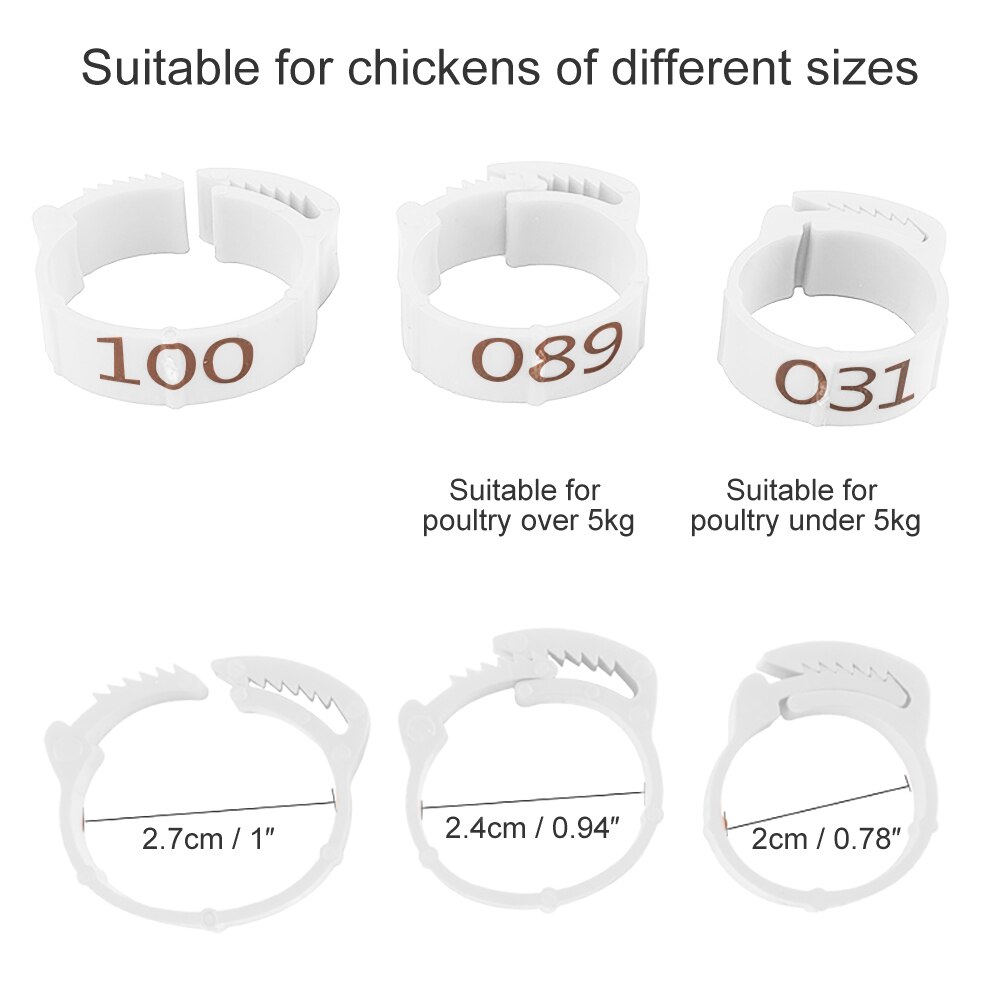 100PCS Chicken Leg Bands Chicken Poultry Rings 4 Colors Pigeon Geese Quail Bird Ring Carry tools Feeding Logo Poultry Ring Bird