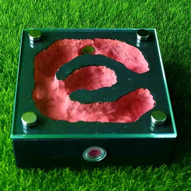 Model magnetyczny bioniczny płaski tynk gniazdo dla zwierząt domowych zamek skrzynka mrówki gospodarstwo domowe Terrarium dla gadów wyjątkowe prezenty: styl D