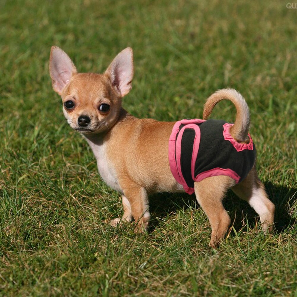 Female Dog Shorts Underwear For Small Medium Size Dogs Physiological Pants Puppy Diaper Pet Supplies