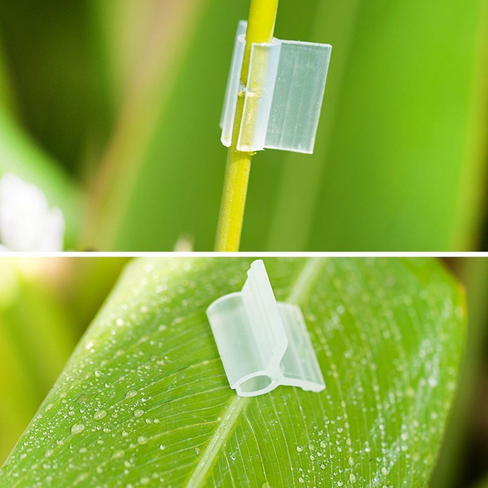 Pinces de greffage agricole, 20 pièces, 2/3/4.5mm, légumes, fruits, plantes, tomates, pastèque, pince de Support, accessoires de jardinage