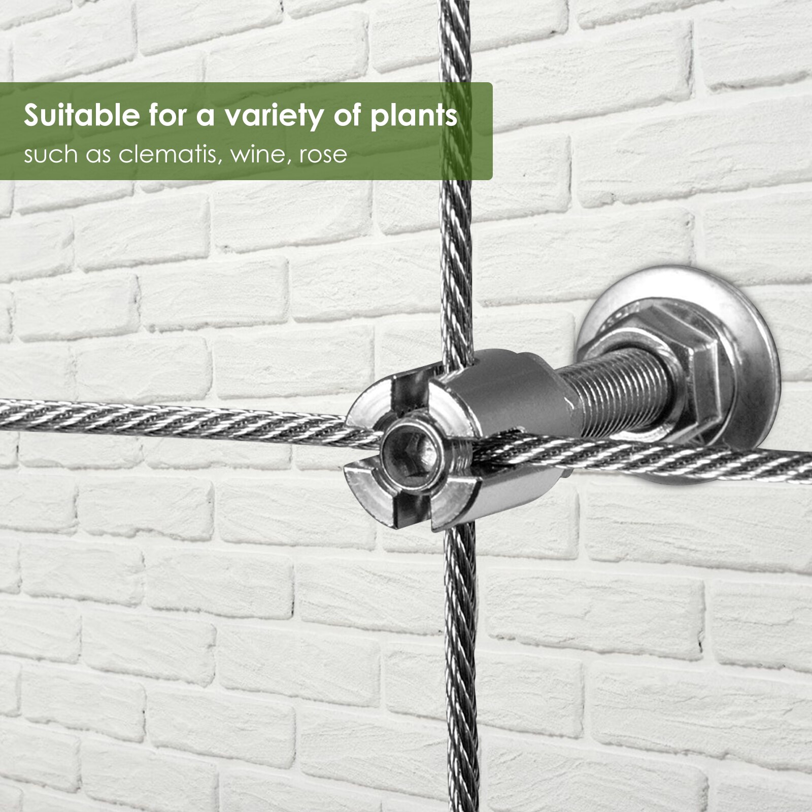 Stainless Steel Plant Climbing Green Wall Mesh Trellis Wire Mesh Fence Plants Anchoring Aid 8 Halter 12 m Rope Kit