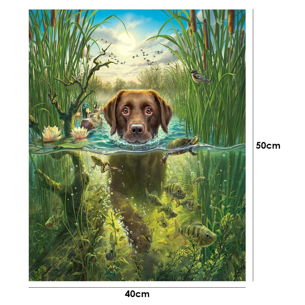 40x50cm Oli peinture par numéros Kit bricolage féroce aigle toile huile Art photo décor à la maison Animal fait main pas de cadre: 06