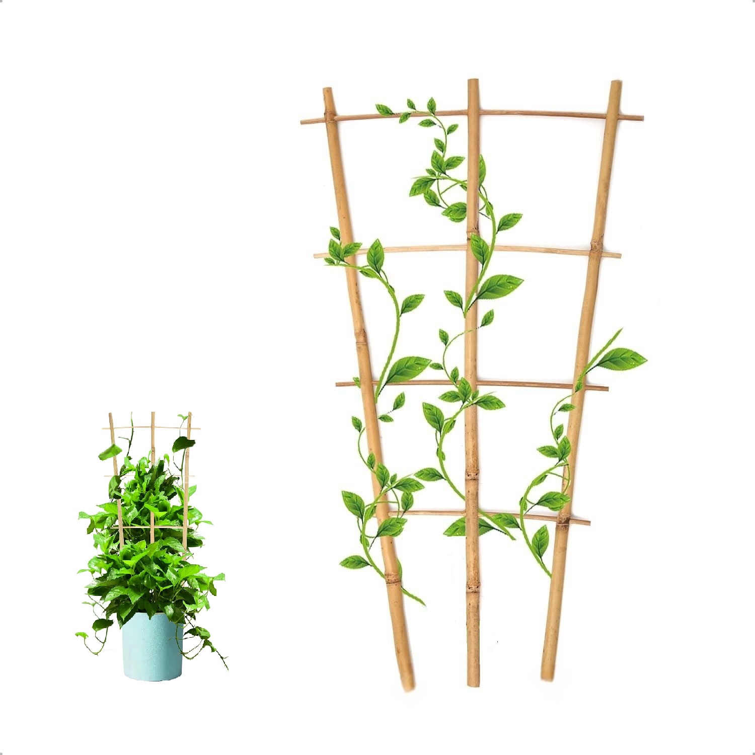 5 Stck/einstellen Spalier fr Topfpflanzen, Bambu...  Grandado