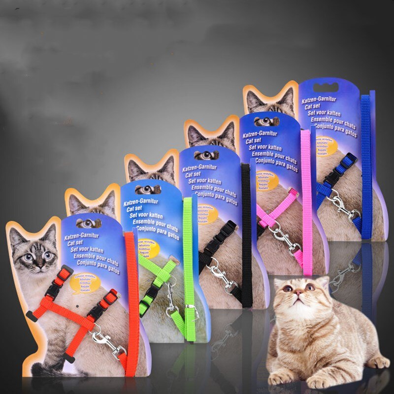 Smycz dla zwierząt zestaw klatka piersiowa regulowana uprząż dla kotów chodzenie pas piersiowy obroże dla kotów szczyt na zewnątrz chodzić pasek artykuły dla psów