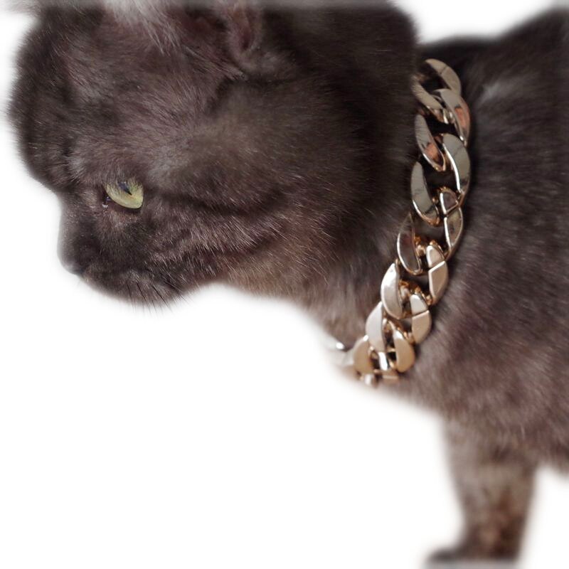 Collier de chien de colliers épais chaîne en or en plastique plaqué collier de sécurité identifié chiot chiens fournitures 36cm / 45cm