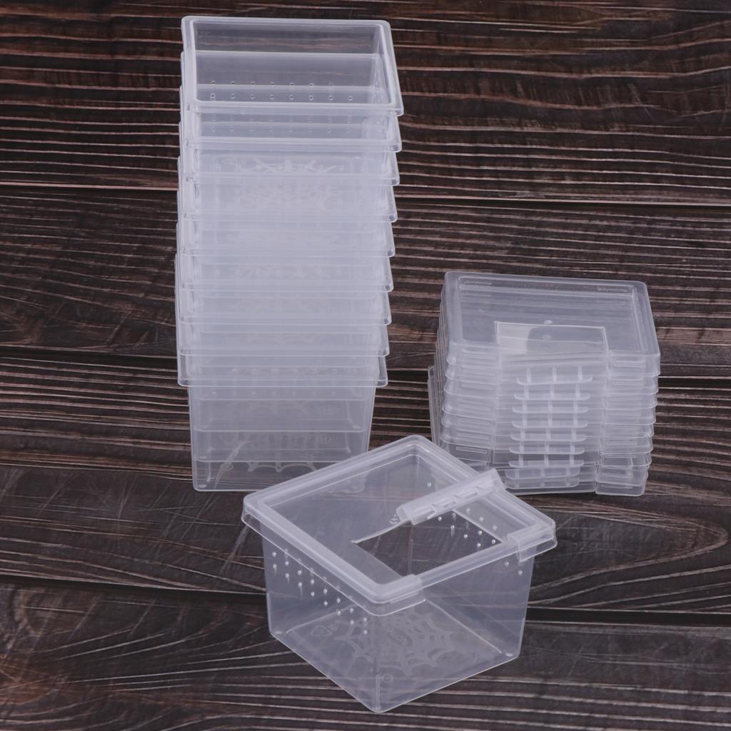 10 Pcs Insect Reptiel Spider Terraria Fokken Box Uitkomen Container