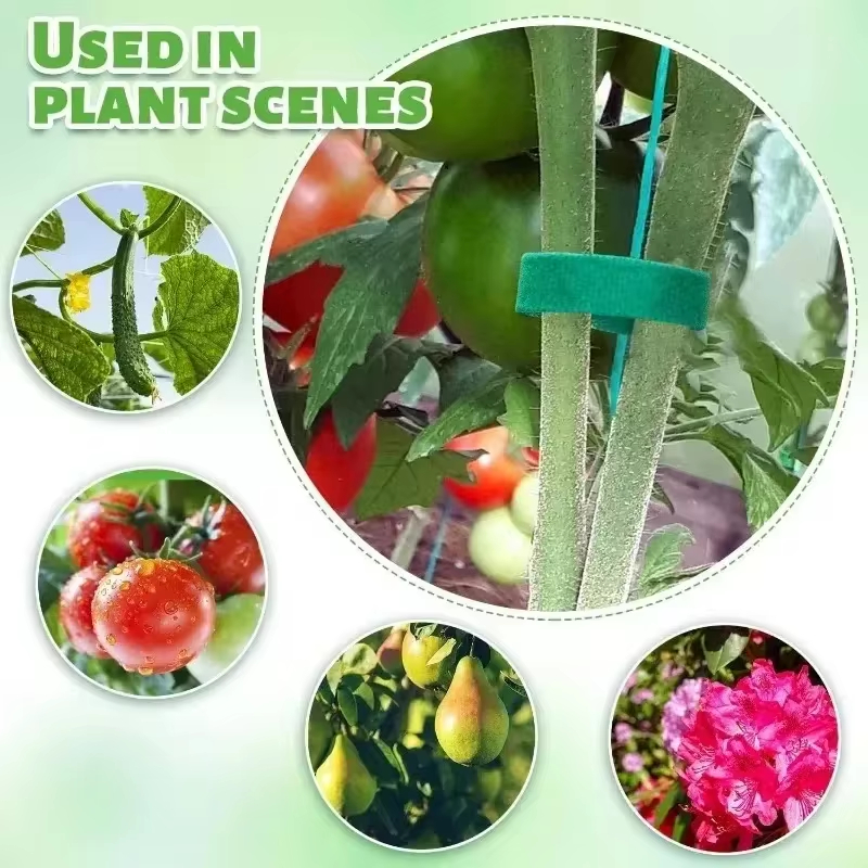 12m Garten Pflanzens tütze Krawatte 10mm selbst klebende Klebeband Clip Nylon Pflanzen Halfter Gurte wieder verwendbare Hof Bambus Rohr Pflege Befestigungs werkzeuge