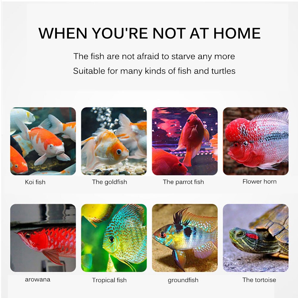Automatic Fish Feeder Rechargeable Timer Fish Feeder with USB Charger Cable Fish Food Dispenser for Aquarium or Fish Tank