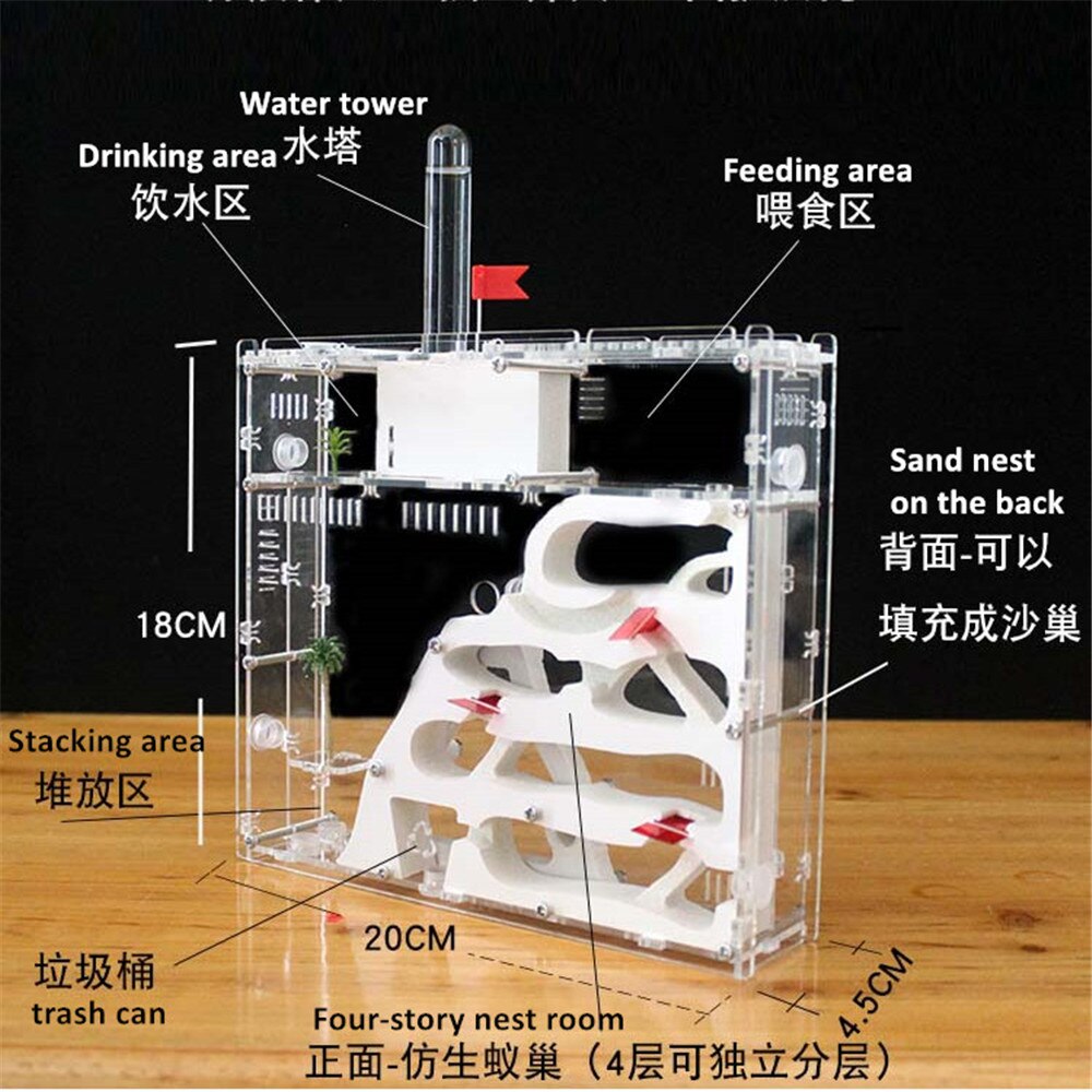 Expandable Ant Castle Four-story Ant Farm Room Double-sided Pet Workshop Sand Castle Home Kingdom Sand Soil Nest Queen Ant: nest without sand