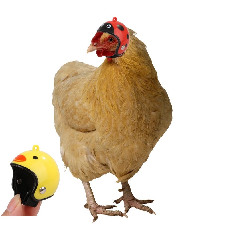 Cute Chicken Hat Chicken Helmet Protection Head Small Pet Hard Hat Bird Cap Headgear For Chicken Duck And Other Poultry
