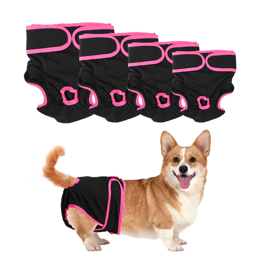 Kæledyrsundertøj kæledyrsprodukter fysiologiske bukser til små meidiumstørrelse hunde kvindelige hundeshorts hvalpe blehunde leverancer