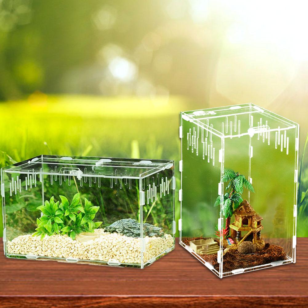 Transparante reptielentank insecten spinnen schildpad hagedis acryl kweekbak vivariumdeksel reptiel huisdierproduct terrarium
