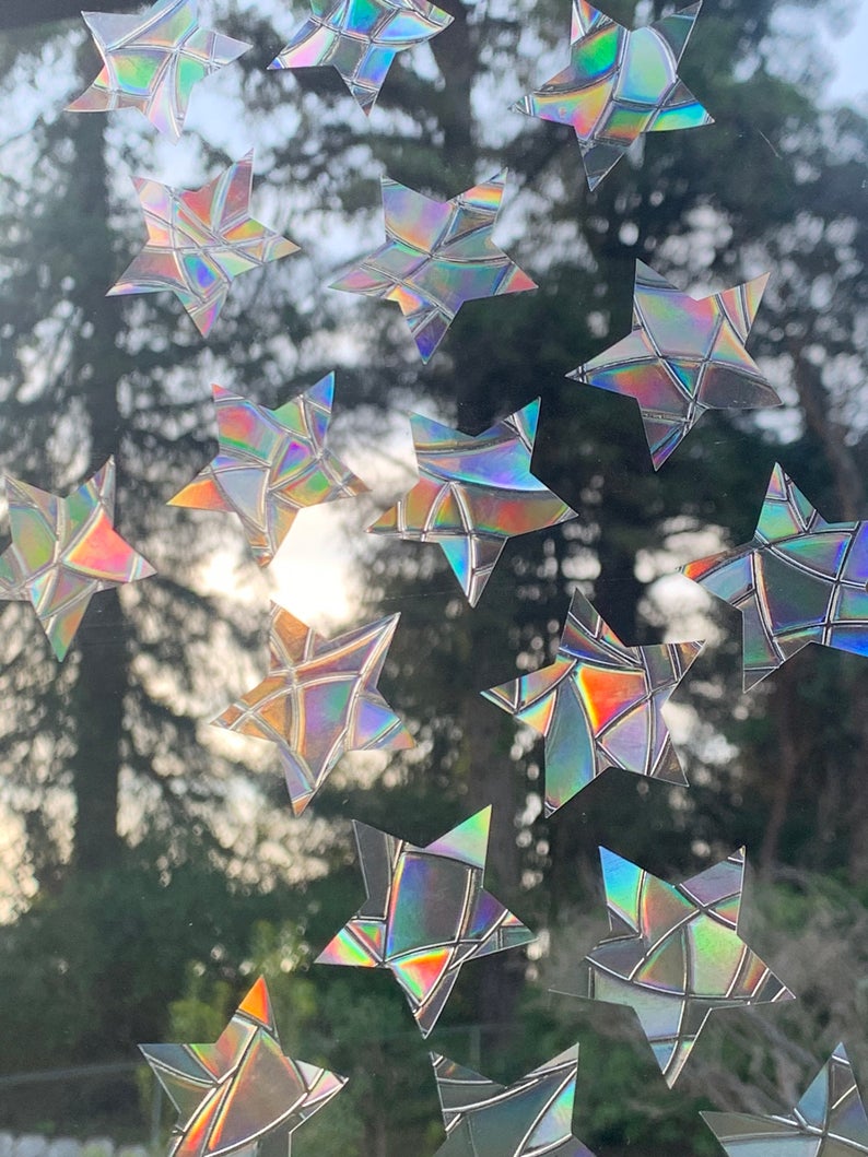 Mini Star Window Prisms Set of 15 Rainbow Sticker Prism Window Window Decor Suncatcher Decal Bird Window Alert