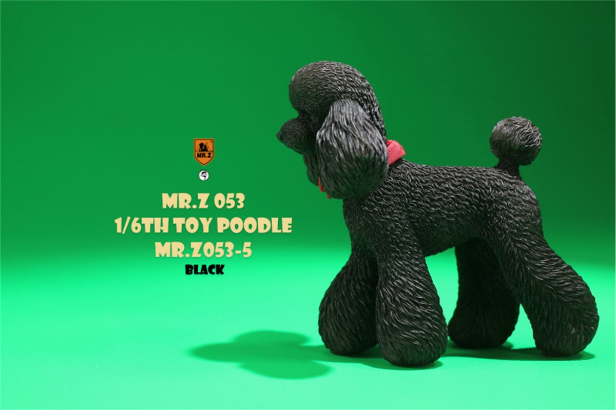 Mr.Z Studio 1:6 Schattige Speelgoed Poedel Hond Pet Figuur Canidae Diermodel Speelgoed Collector Simulatie Teddy Bureau Decoratie Mini