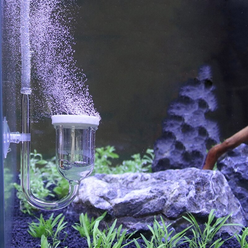 Aquarium Air Bubble Diffuser Fish Tank Bubble Disk Oxygen Increaser Air Refiner Atomizer with Suction Cup