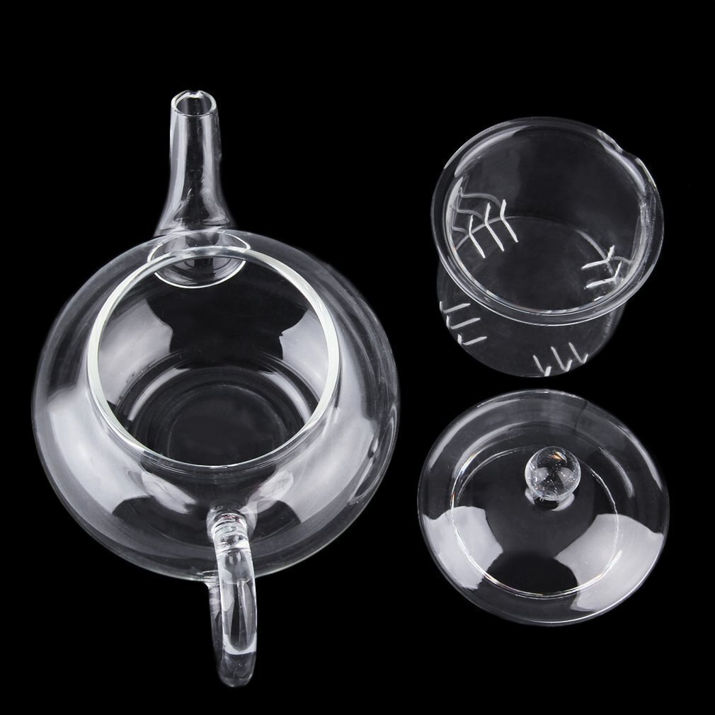 Gjennomsiktig tekanne varmebestandig glass tekanne med infusjon kaffe blomst te blad urtepotte 250ml holdbar
