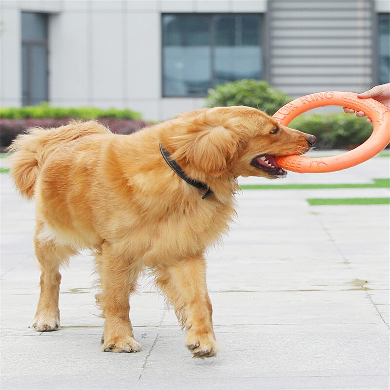 Dogs Toys Pet Rally Ring Molar Teeth Cleaning Toy Large Dog Side Shepherd Labrador Interactive Training Toys Dog Accessories