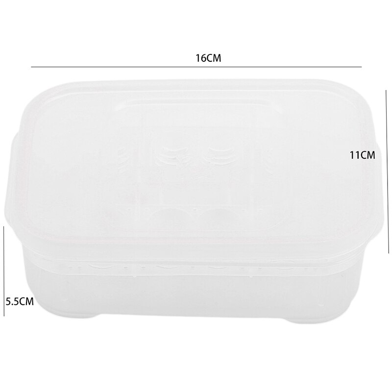 12 grilles boîte de trappe serpent lézard Reptile oeuf plateau boîtes à oeufs à couver dispositif escalade animal tortue tortue incubateur fournitures