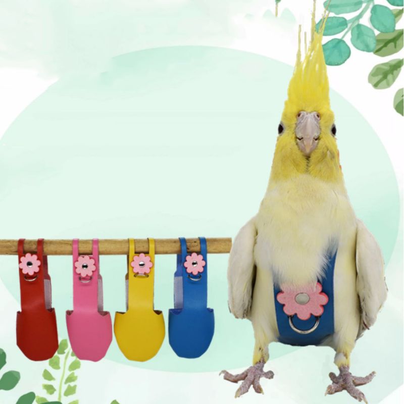 Pañal de cuero de terciopelo con loro y pájaro, palomas cacatúa, traje de vuelo, ropa, bolsillo para entrenamiento, suministros ajustables para mascotas