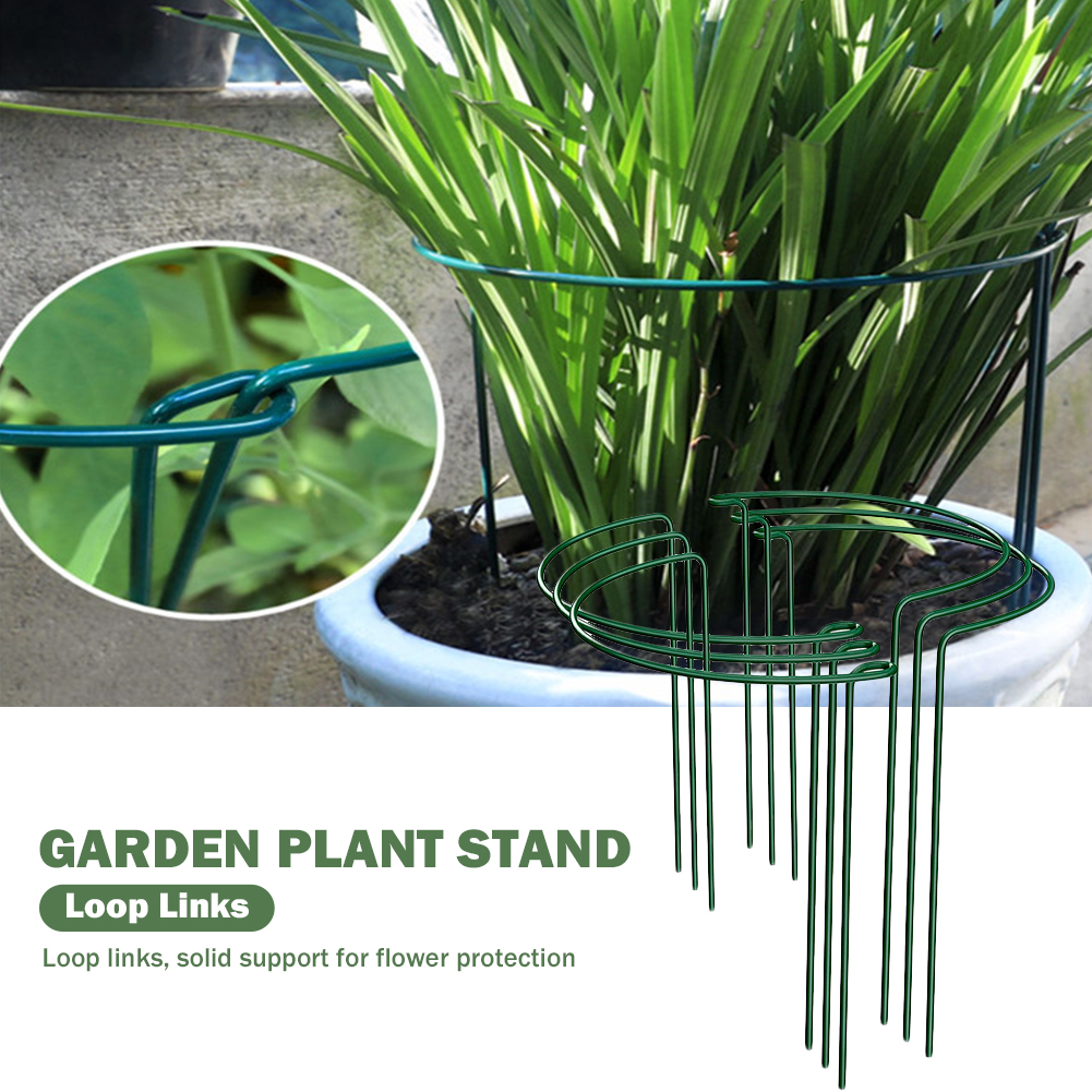 6 Stuks Tuinplant Ondersteuning Paal Half Ronde Metalen Tuinplant Strut Klimplant Ondersteuning Voor Indoor Outdoor Klimgroente