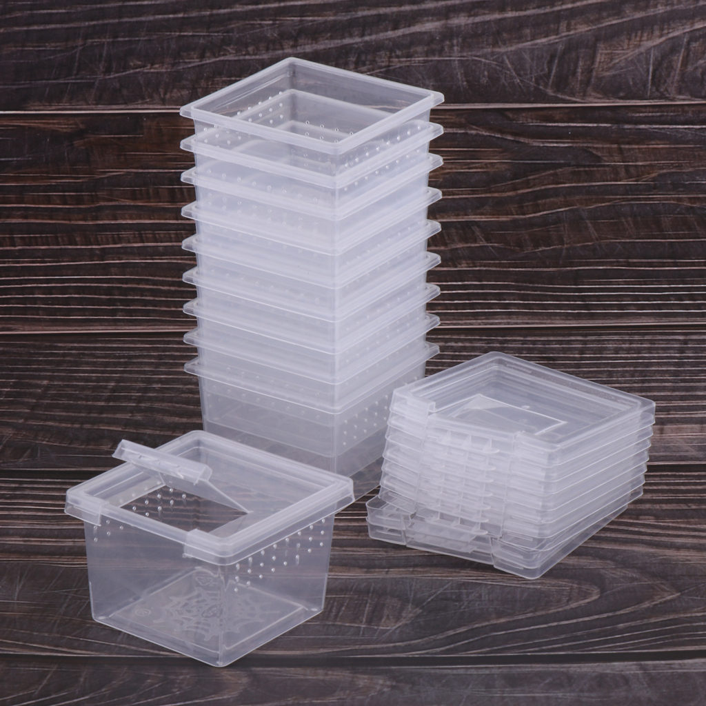 Caja de alimentación para jaula para reptil, Tortuga, araña y Terrario de lagartos