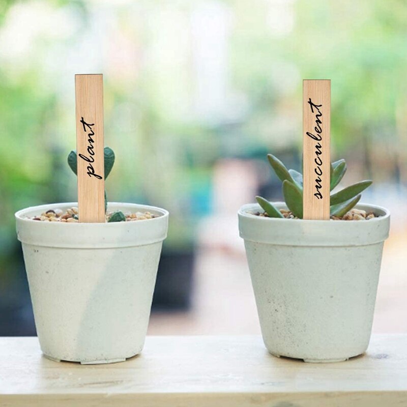 60 verpakkingen van  of 6 x 0.8 inch plantenlabels van bamboe voor de tuin, kwekerij of bloemen, groenten, zaailingen en zaden