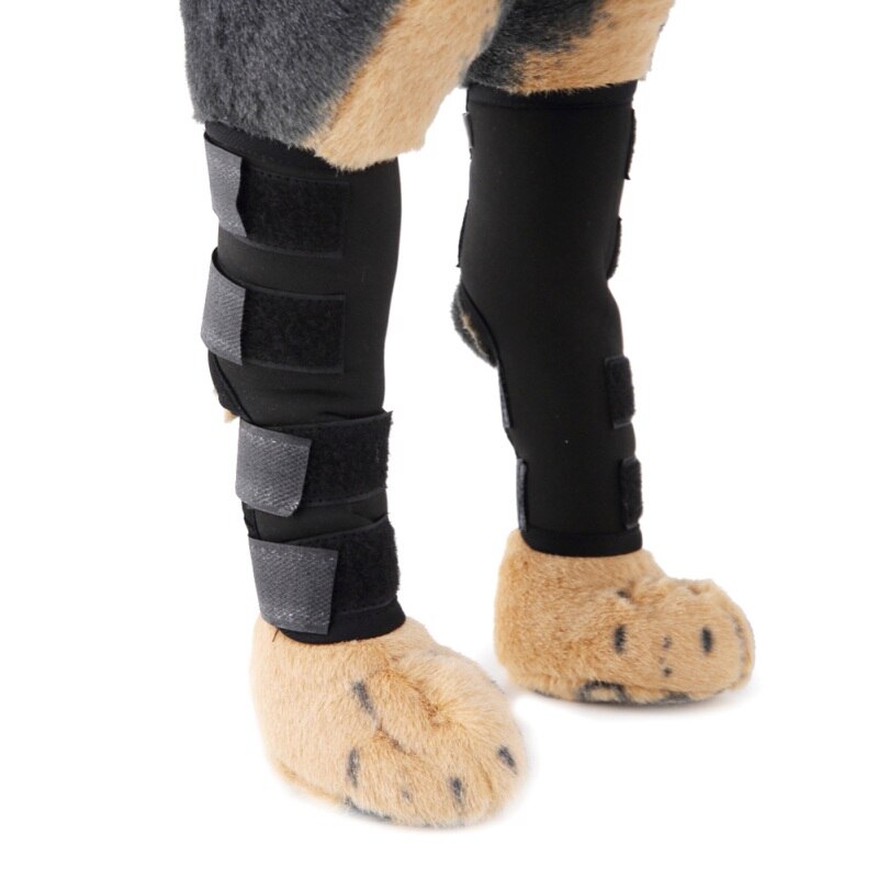 1Pair Pet Dog Cat Knee Joint Leg Protector Calf Brace Support For Avoiding Injury