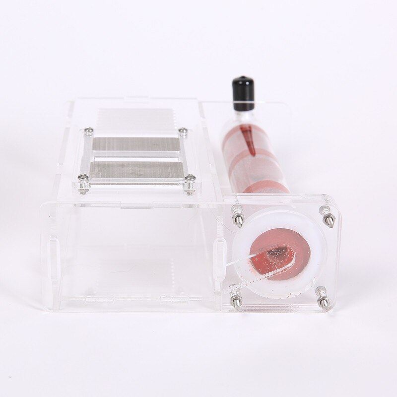 Koeputki kosteus iso tila muurahaispesä, muurahaisfarmi akryyli, hyönteismuurahaiset huvila talon muurahaiset ekologinen työpaja