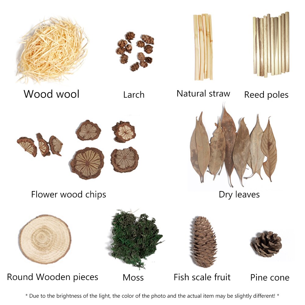 10pcs Natural Plants Pine Cones ins Photography Props Wood Chips Larch Background Accessories for Photo Studio Home Decoration