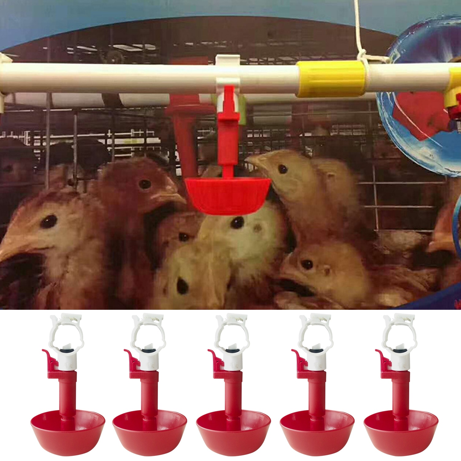 Behogar 5 stuks automatische drinknippels met bronwater voor duiven, kwartels, papegaaien, kippen, kuikens, eenden, ganzen, pluimvee