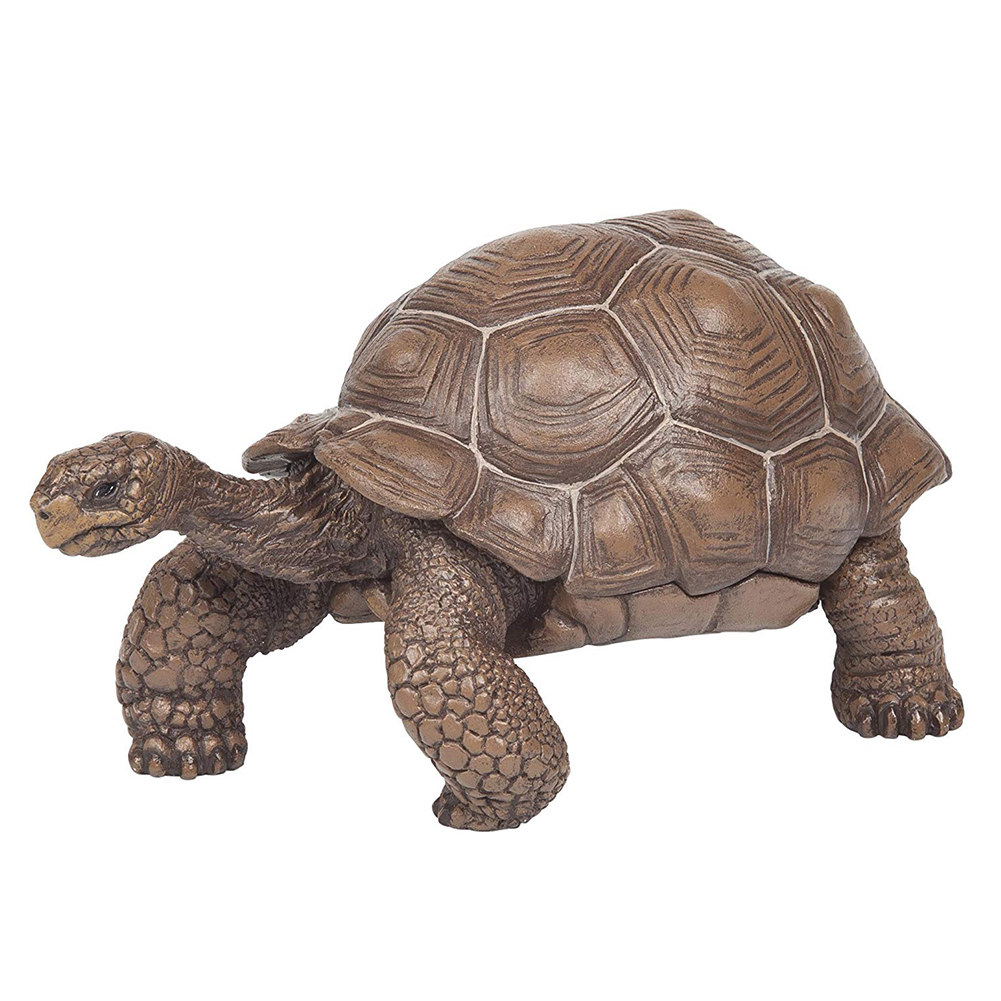 3inch Galapagos Tortoise Turtle Model Figure Animal Toy - Collectable #W0