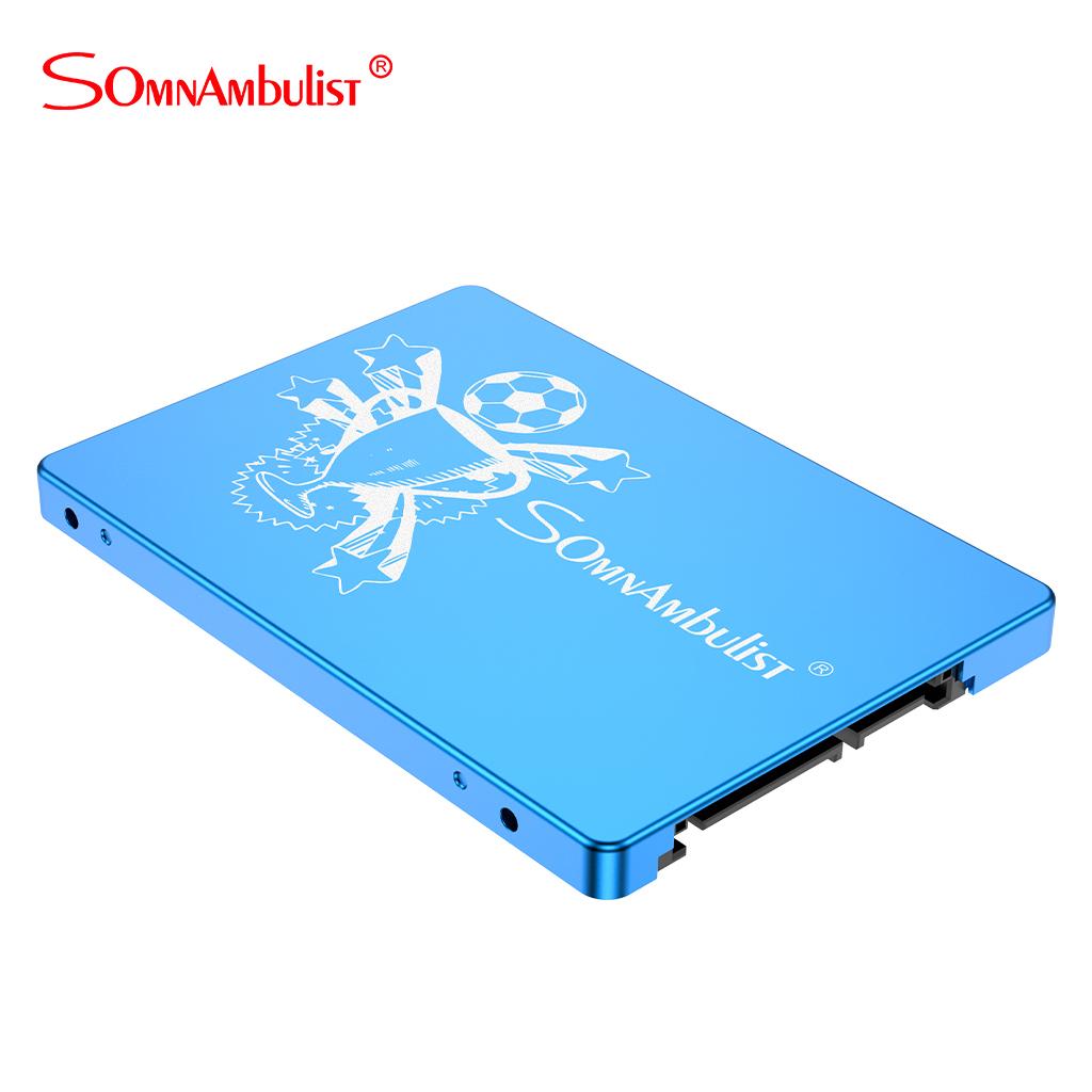 60GB 120GB 240GB 480GB 960GB 2TB 2.5 disco rigido SSD interno da 2.5 pollici