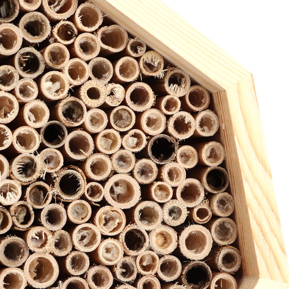 Natural Pine Candlenut Wood Bee House Bee Hive Practical for Bee Species Solitary Bees House Garden Decoration