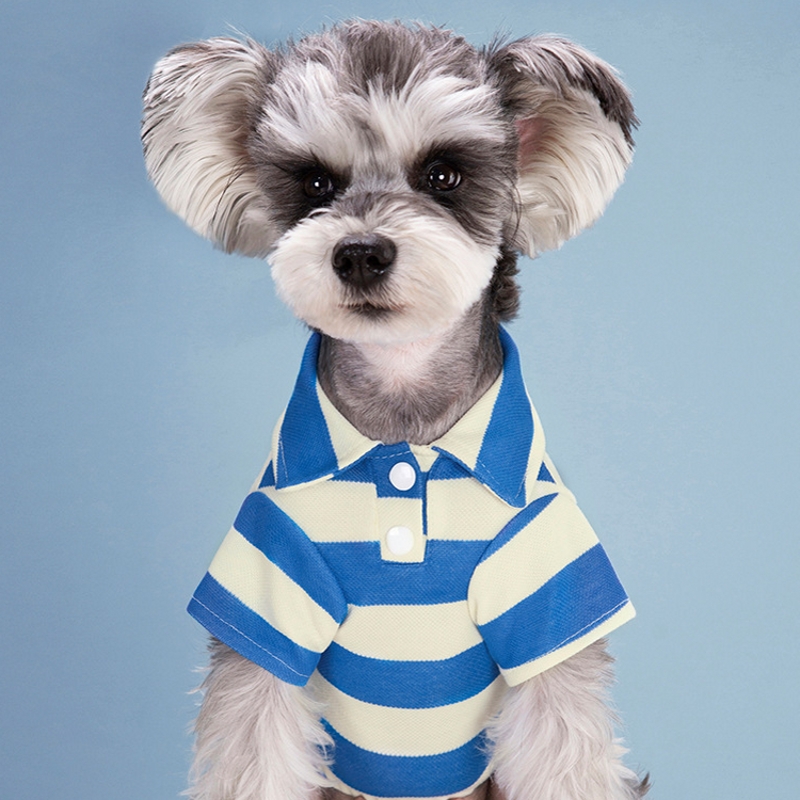 Camiseta Polo para perro, ropa fresca de verano, sudadera a rayas, Yorkie, Chihuahua, ropa para cachorro, chaleco para perros pequeños y medianos, disfraces: XXL / Blanco