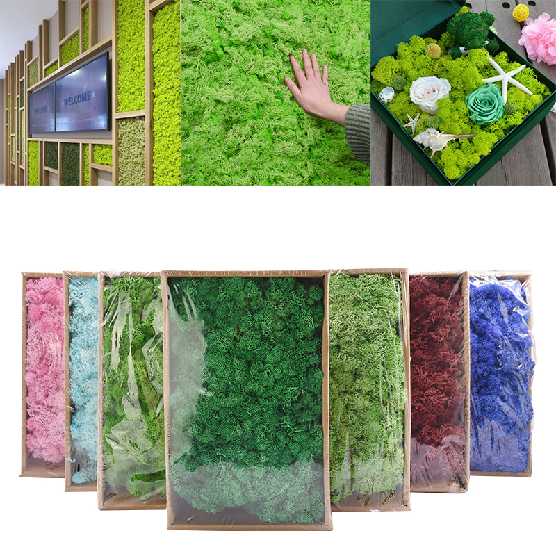 40g kunstige planter evigt liv mos mini have mikro landskab tilbehør boligindretning væg diy blomster materiale