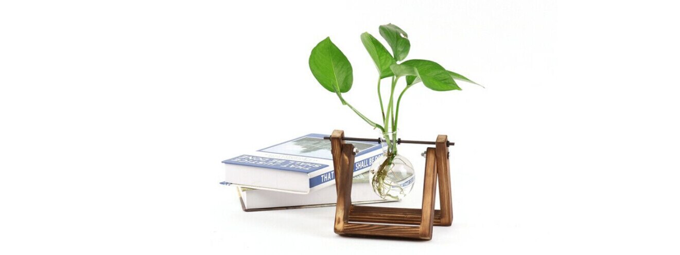 soporte de madera vidrio terrario contenedor hidropónico maceta para flor florero de mesa DIY Home Office decoración de boda: 1