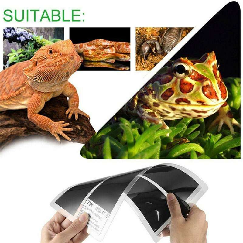 5-45W Adjustable Reptiles Heat Mat Climbing Pet Warm Heating Pads Temperature Controller Mats Reptiles Supplies EU Plug