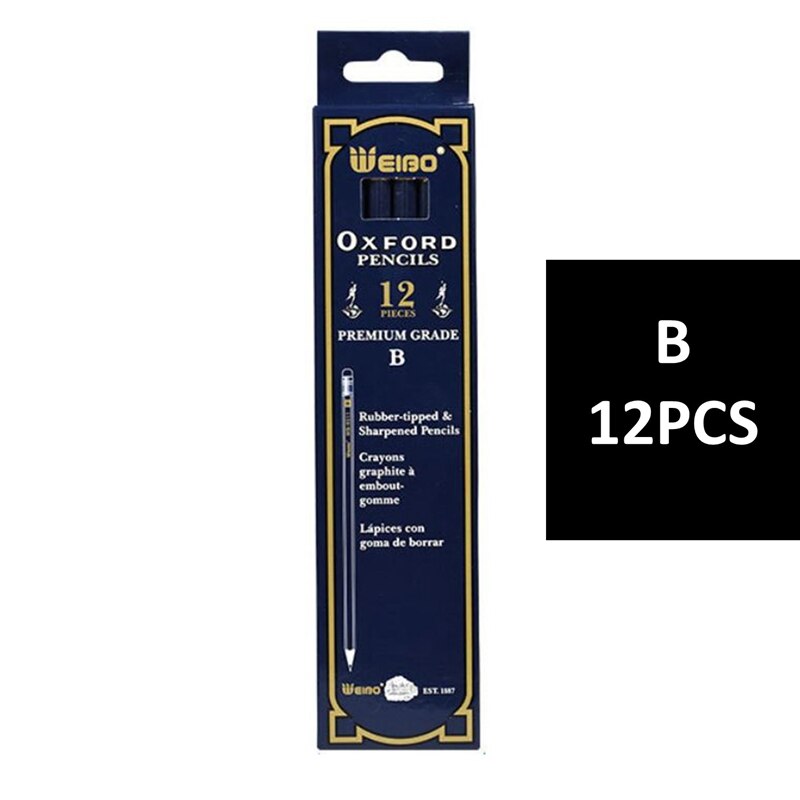 12 PCS/Pack Drawing Set Pencil Stationery Store Office School Art Supplies Painting Sets For Artist`s Tools: B