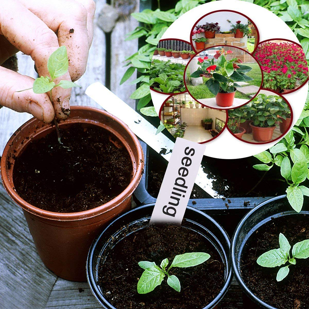 30 Pcs 4" Plastic Plants Nursery Pots Seedlings Additional 30pcs Gardening Label Flower Plant Container Seed Starting Pots