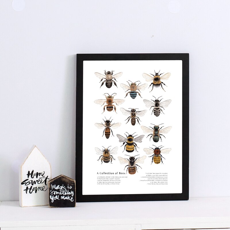 Collectie Van Bijen Prints Natuurlijke Educatief Poster Insecten Natuur Studie Wall Art Schilderen Kraftpapier Poster