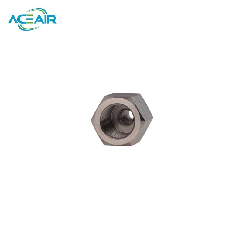 Hogedruk snelkoppelingen vrouwelijke plug roestvrij staal 4500 psi  m10 1/8 npt 1/8 bspp 2 stuks/lot
