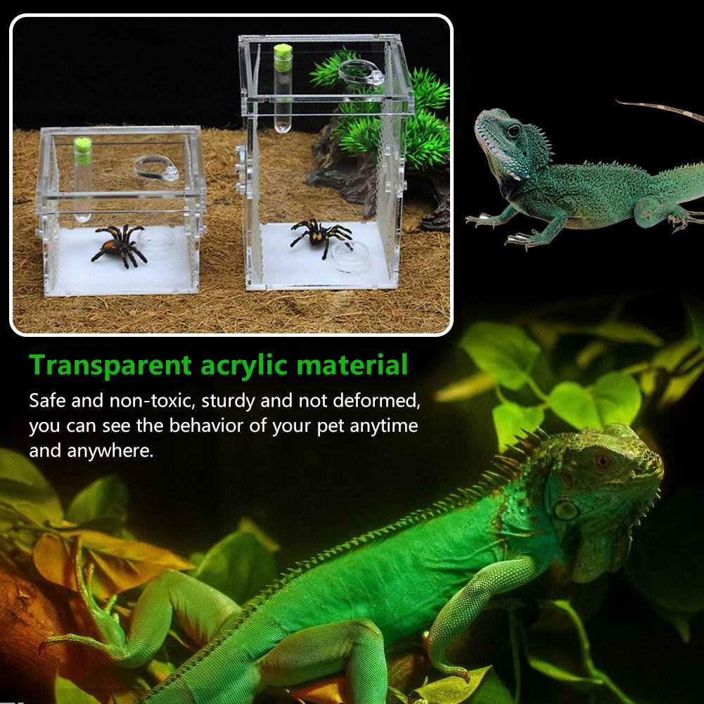 Reptile Breeding Box Acrylic Transparent Sliding Cover Reptile Tank Insect Spiders Tortoise Lizard Feeding Box Terrarium