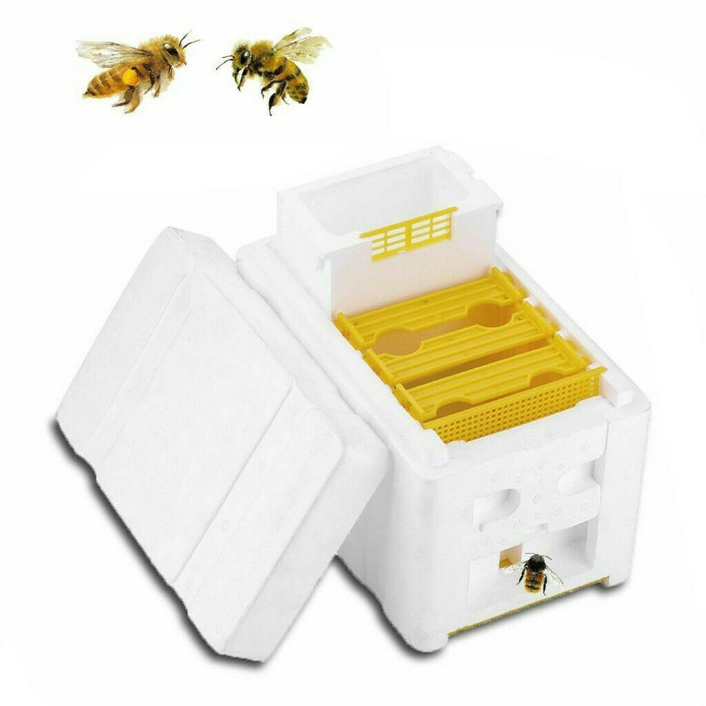 Produktbild von Wifehelper Bienenkönigin-Zuchtbox – EPS, 24x14,8x16,5 Cm – Für Ernte, Bestäubung & Temperaturkontrolle