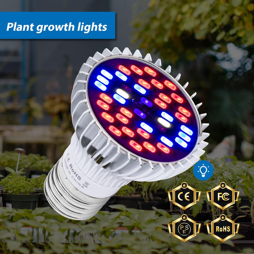 Led Grow Light Volledige Spectrum Lamp E27 Bloem Zaden Groeiende Licht E14 Led Phyto Lamp18W 28W 30W 80W 50W Led Plant Indoor Verlichting