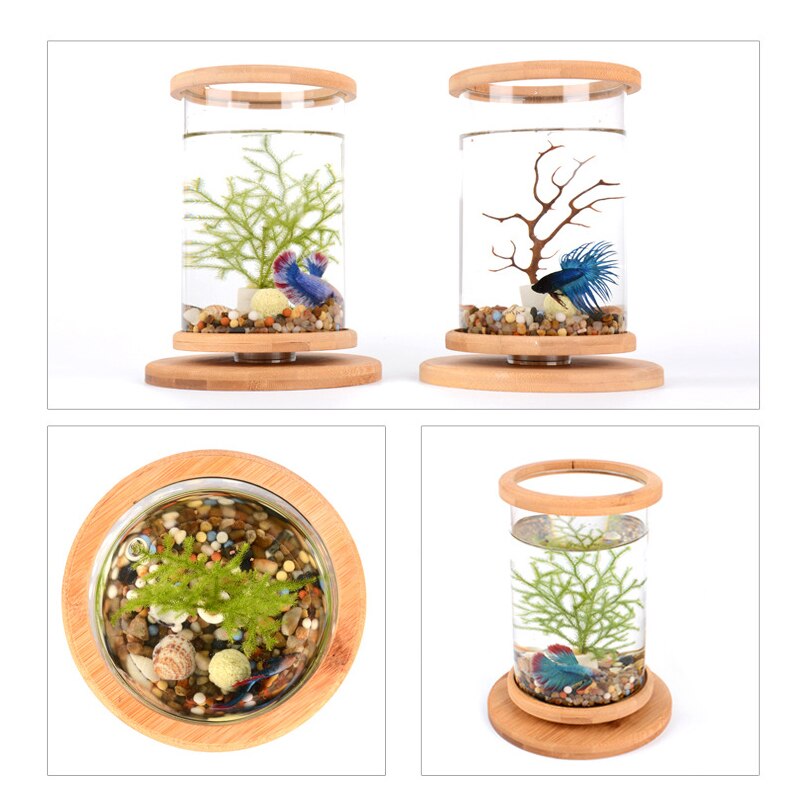 360 grad Rotierenden Glas Betta Fisch Panzer Bambus Basis Mini Aquarium Dekoration Drehen Fisch Schüssel Aquarium Büro Zubehör