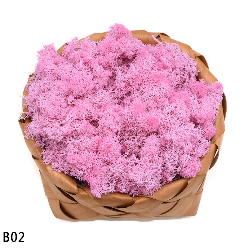 40g kunstige planter evigt liv mos mini have mikro landskab tilbehør boligindretning væg diy blomster materiale: B02