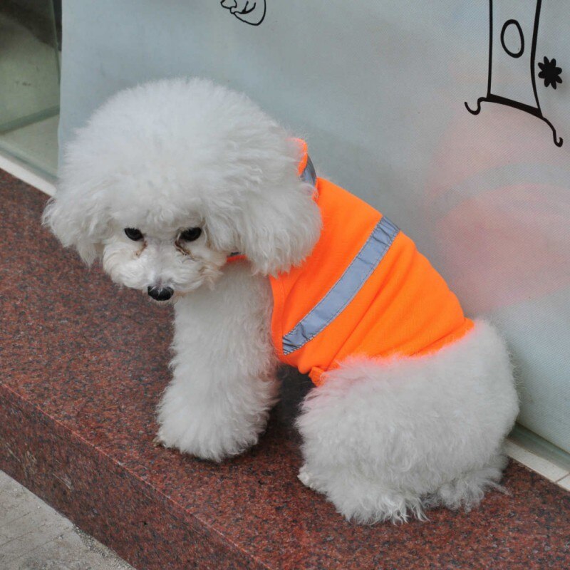 Hond Kat Reflecterende Vest Fluorescerende Veiligheid Vest Pet Wandelen Security Kleding Veilig Lichtgevende Waterdichte Huisdier Kleding Benodigdheden